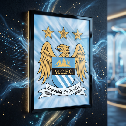 Football: Man City 3D Poster